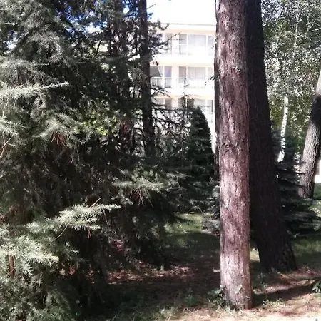 Portobello Garden فندق