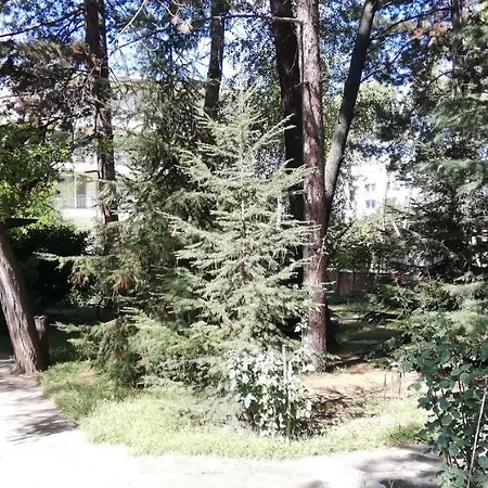 فندق Portobello Garden